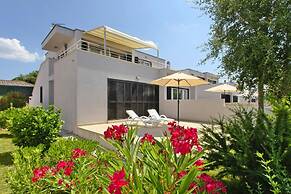 Apartments in Villas Punta Skala With Beachpool