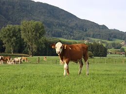 Chalet Alpenzauber mit Beheiztem Pool, Inzell