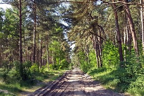 Holiday Apartment in the Countryside, Dzierzcin