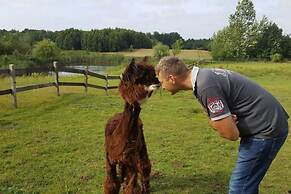Holiday Apartment in the Countryside, Dzierzcin
