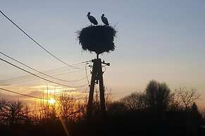 Holiday Apartment in the Countryside, Dzierzcin