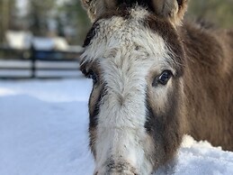 Seepark Heidenholz, Plau am See