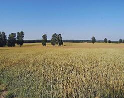 Terraced House With Pool and Sauna, Sieciemin