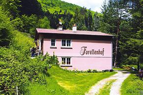 Holiday Accommodation in the Zorn Valley