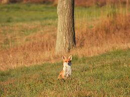 Doppelhaushaelfte in Hasselfelde