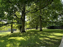 Lodge/ Kingbed/ Privg/ Petsok/ Freep/ Wifi