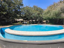 Room in Lodge - Luxury Suite in Boutique Lodge With Free Savannah Adve