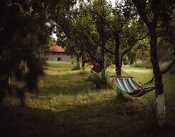Atmospheric Apartment in the Countryside, Gronowo