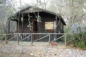 Holiday Village Caravelle Camping Vill, Ceriale