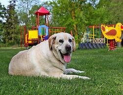 Ferienhaeuser am Kummerower See in Verchen