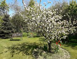 Ferienwohnung in der Huebschen Inselstadt Malchow