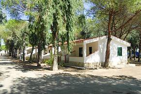 Bungalow in a Resort in Lido del Sole With Terrace