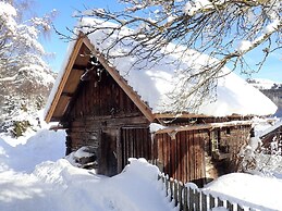 Holiday Home Mesnerhaus Fuchsn, Weisspriach im Lungau