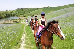 Fattoria Bio Pieve a Salti, Montalcino
