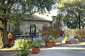 Fattoria Bio Pieve a Salti, Montalcino