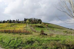 Fattoria Bio Pieve a Salti, Montalcino