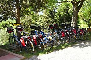 Fattoria Bio Pieve a Salti, Montalcino