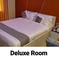 Goroomgo Gokul Raj Madhubani