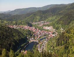 Ferienwohnung im Haus Schiefertal, Wieda