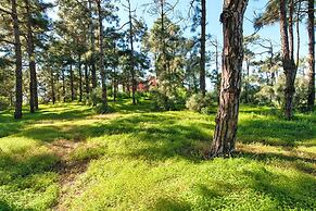 Villa Mansion Bandama With Pool in Santa Brigida