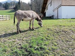 Holiday on an Organic Farm in Hart im Zillertal