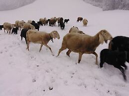 Holiday on an Organic Farm in Hart im Zillertal