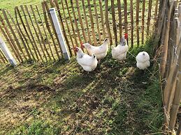 Semi-detached House, St. Meloir-des-ondes