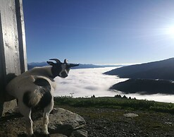 Mountain hut Right in the Kitzbuhel ski Area