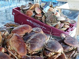 Comfortable Apartment, 50 m Sandy Beach