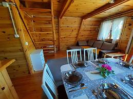 Comfortable House With Private Garden, Rusinowo