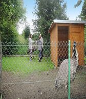 Beautiful Cottage With a Fenced Yard, Kolczewo