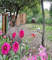 Beautiful Cottage With a Fenced Yard, Kolczewo
