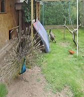 Beautiful Cottage With a Fenced Yard, Kolczewo