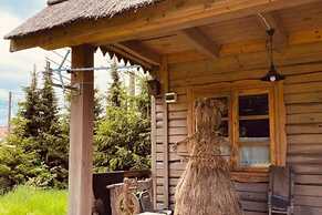 Comfortable Holiday Home in Belczna With Pool