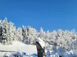 Apartment in Neukirchen With a Balcony