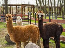 Holiday Cottages, air Conditioning, Pool Niechorze