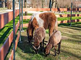 Holiday Cottages, air Conditioning, Pool Niechorze