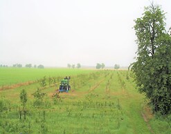 Ferienwohnung Gute Luise in Fuenfseen