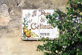 Apartment in Sovicille With Heating