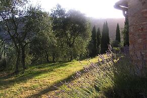 Charming Villa in Tuscany With Pool & Views