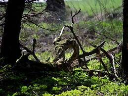 Doppelhaushaelfte in Hasselfelde