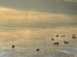 Doppelhaushaelfte in Hasselfelde