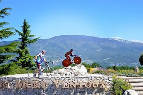 Holiday Home With Private Pool in Bedoin