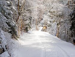 Doppelhaushaelfte in Hasselfelde