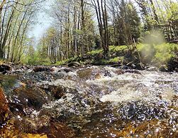 Doppelhaushaelfte in Hasselfelde