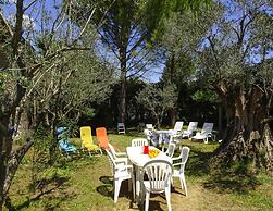 Holiday Home With Pool in Vaison-la-romaine