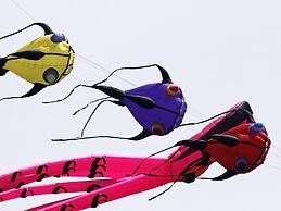 Charming Cottage, Dieppe, Alabaster Coast