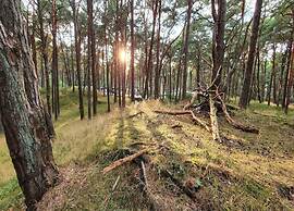 Appartementhaus in Trassenheide