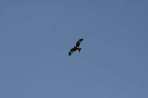 Reihenhaus Rotkehlchen in Lohmen