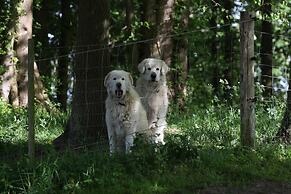 Reihenhaus Rotkehlchen in Lohmen